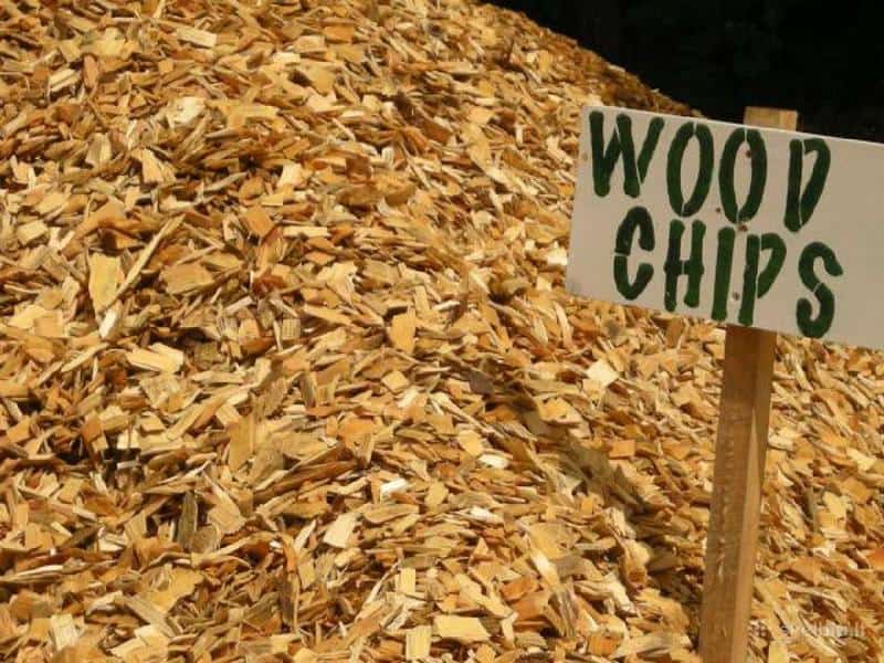 wood chips